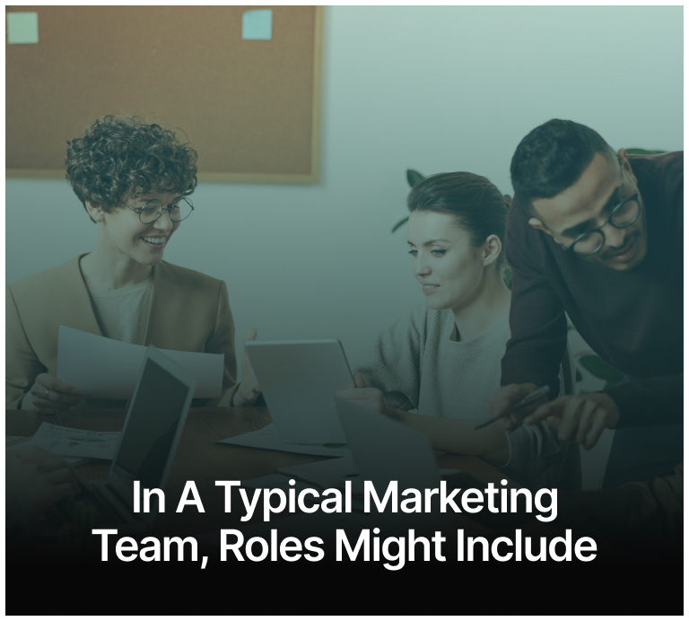 In a typical marketing team, roles might include: