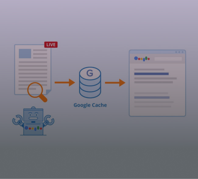 What are Google Cached Pages?