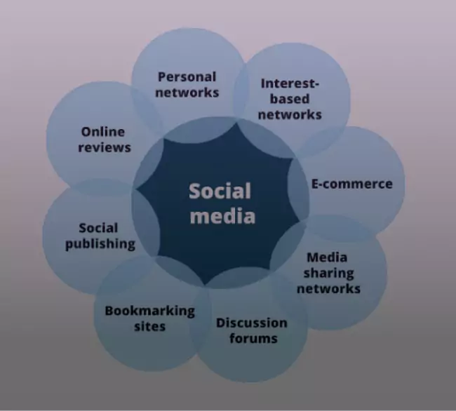 How many types of social commerce are there?